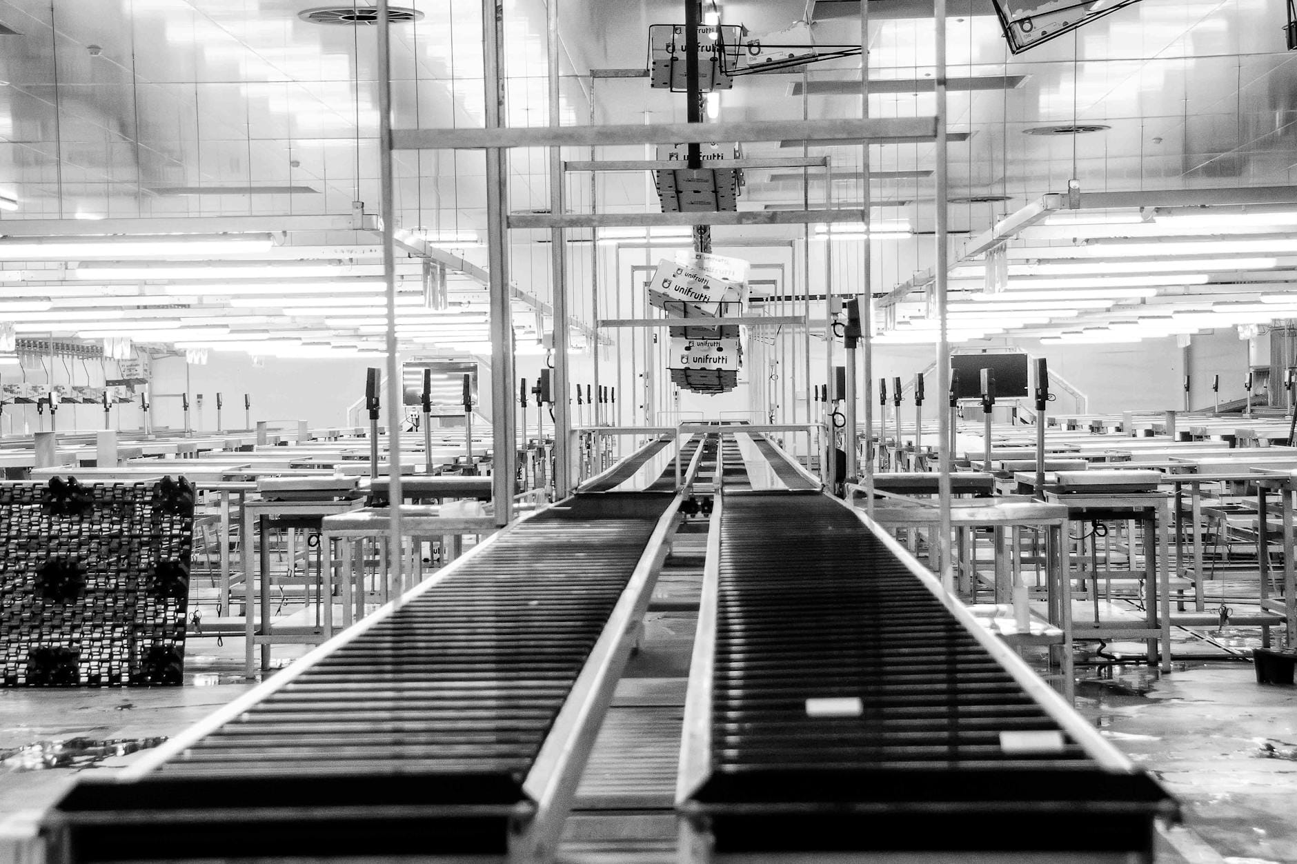 Taśmociąg w nowoczesnej hali produkcyjnej w zakładzie logistycznym
