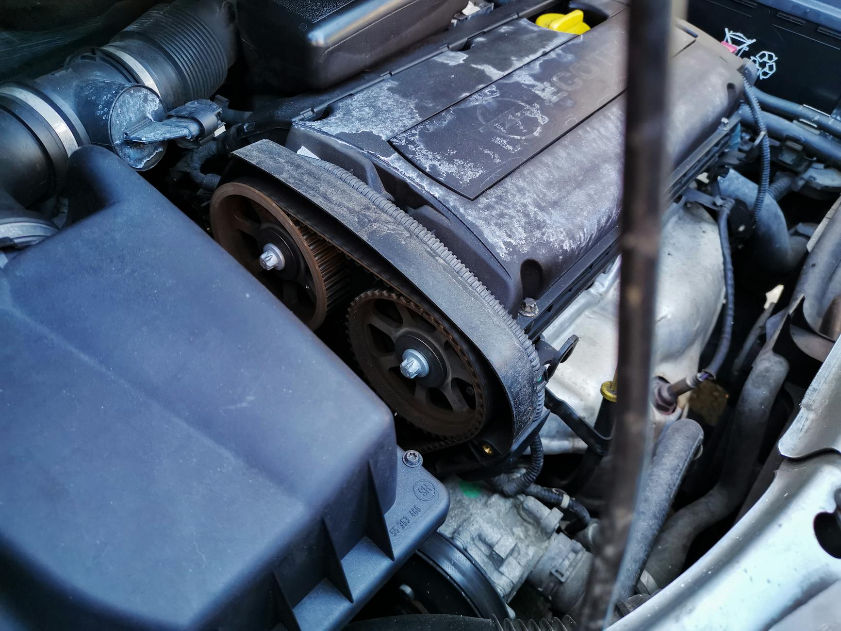 Kiedy naprawdę wymieniać rozrząd w Renault – realne przebiegi użytkowników Zbliżenie rozrządu i pasków w silniku samochodu Renault pod maską